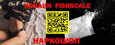 СК Донецк