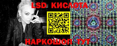 СК Донецк