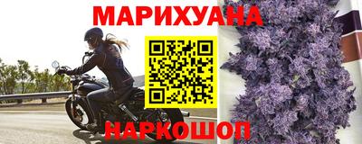 СК Донецк
