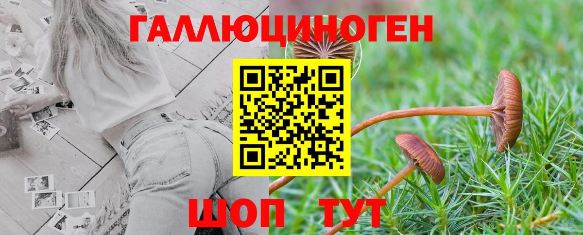 Донецк  Псилоцибиновые грибы Magic Shrooms  Вход с VPN 